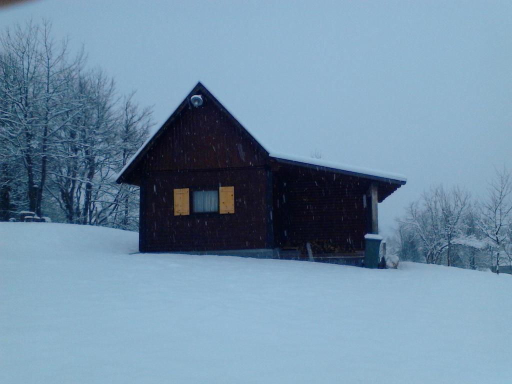 Apartment Iko Rakovica Ruang foto