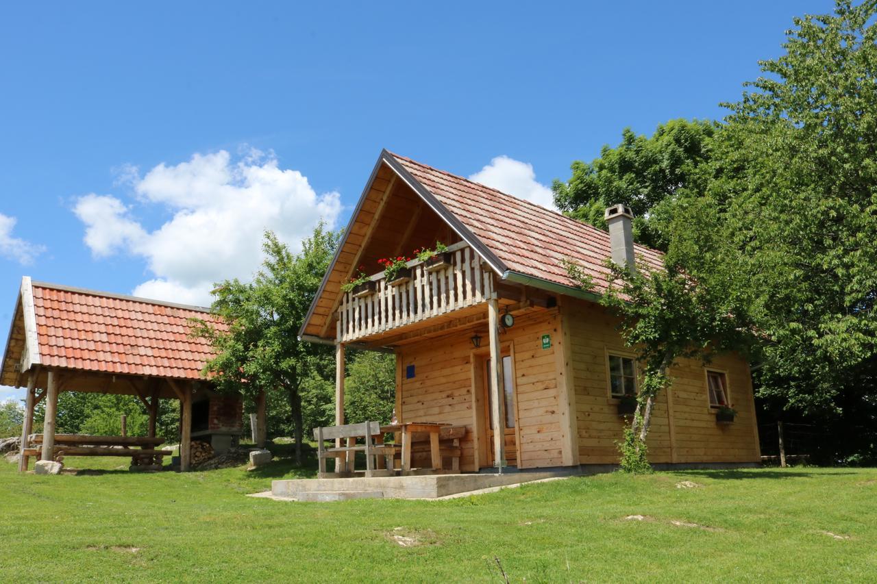 Apartment Iko Rakovica Bagian luar foto