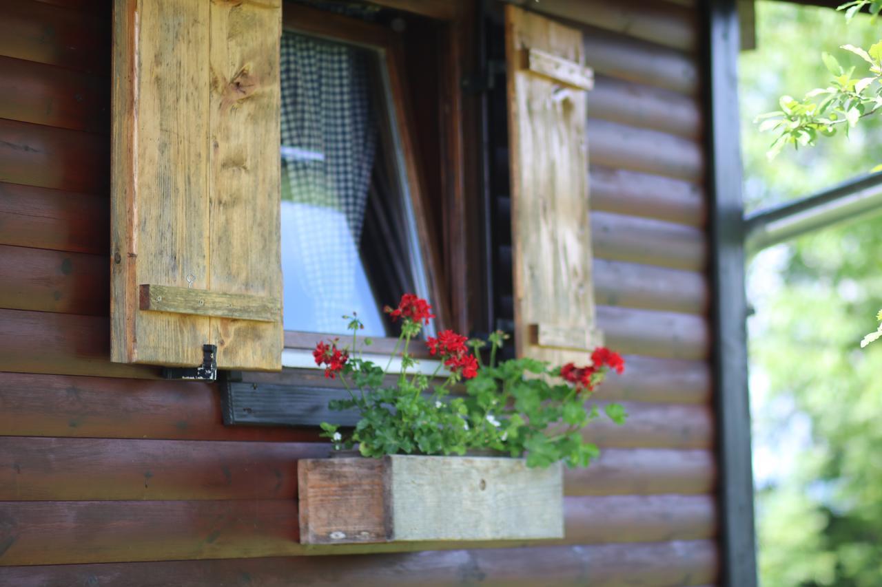 Apartment Iko Rakovica Bagian luar foto